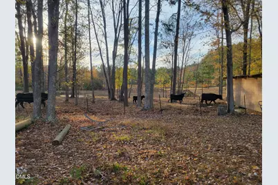 2081 Peed Road, Rougemont, NC 27572 - Photo 7