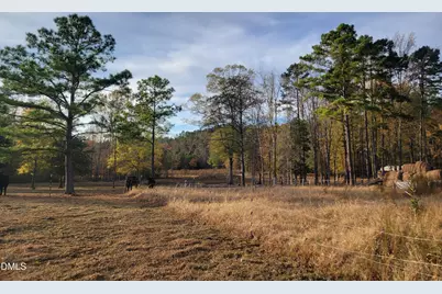 2081 Peed Road, Rougemont, NC 27572 - Photo 3