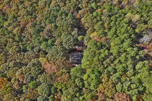 1838 Alex Cockman Rd, Pittsboro, NC 27312 - Photo 51