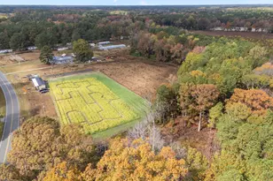 8498 W Tarboro Rd, Rocky Mount, NC 27803 - Photo 13