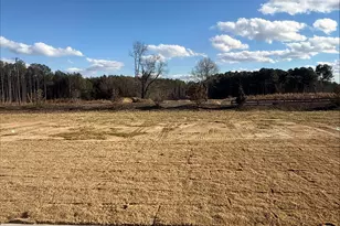 199 Scarlet Sage Dr, Fuquay Varina, NC 27526 - Photo 21