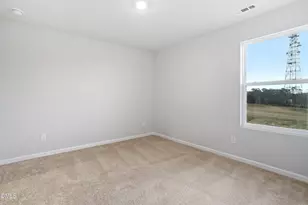 133 Alice Trce Pl, Angier, NC 27501 - Photo 21