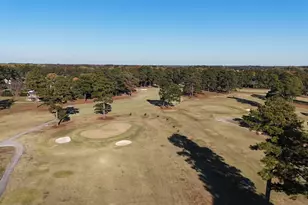 371 Chicora Club Dr, Dunn, NC 28334 - Photo 45