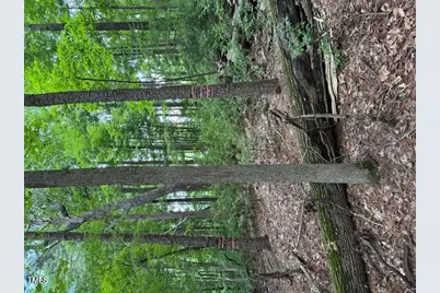 0 Redgate Road, Pittsboro, NC 27312 - Photo 7