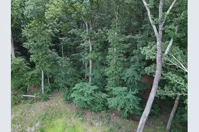 0 Redgate Road, Pittsboro, NC 27312 - Photo 5