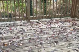 5534 Kaplan Dr, Raleigh, NC 27606 - Photo 15