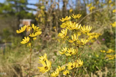 1860 Sissipahaw Way #D-202, Saxapahaw, NC 27340 - Photo 89