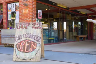 1860 Sissipahaw Way, Saxapahaw, NC 27340 - Photo 85