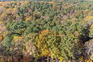 11125 Lakeshore Dr, Raleigh, NC 27613 - Photo 1