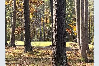 558 Chapel Ridge Drive, Pittsboro, NC 27312 - Photo 7