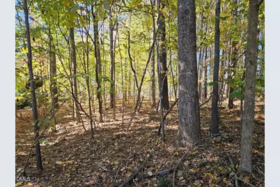 558 Chapel Ridge Drive, Pittsboro, NC 27312 - Photo 5