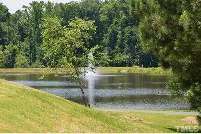 1045 Philpott Drive, Chapel Hill, NC 27517 - Photo 47