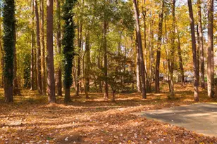 4800 Theys Rd, Raleigh, NC 27606 - Photo 33