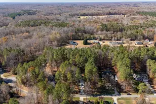 537 Birdsong Ln, Hurdle Mills, NC 27541 - Photo 33