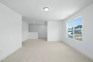 24 Cypress Moss Ct, Lillington, NC 27546 - Photo 19