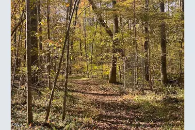 Lot 5 Sepelo Way, Efland, NC 27243 - Photo 7