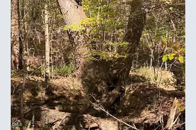 Lot 5 Sepelo Way, Efland, NC 27243 - Photo 9