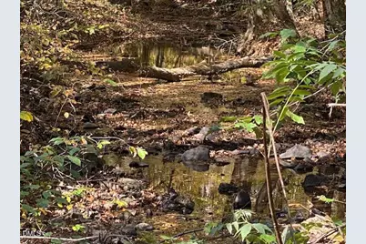 Lot 5 Sepelo Way, Efland, NC 27243 - Photo 3