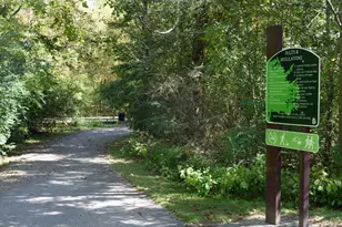 134 N White St, Wake Forest, NC 27587 - Photo 31