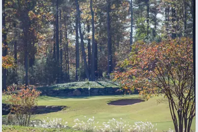 453 Golfers View, Pittsboro, NC 27312 - Photo 31