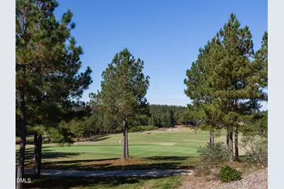 453 Golfers View, Pittsboro, NC 27312 - Photo 29