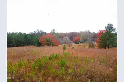 1923 Lawson Chapel Church Road, Roxboro, NC 27574 - Photo 19