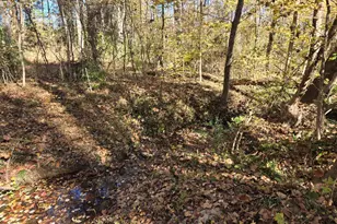 4378 Nc 49, Burlington, NC 27217 - Photo 15