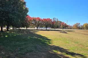 4378 Nc 49, Burlington, NC 27217 - Photo 7