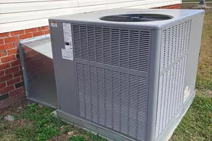 467 Whitehead Rd, Enfield, NC 27823 - Photo 15