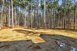 70 Purslane Dr, Franklinton, NC 27525 - Photo 35