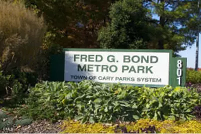 123 Wintermist Drive, Cary, NC 27513 - Photo 33