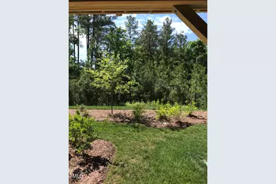 115 Ballyliffen Lane, Cary, NC 27519 - Photo 3