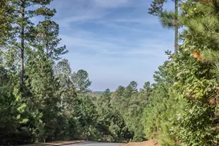 191 High Ridge Ln, Pittsboro, NC 27312 - Photo 25