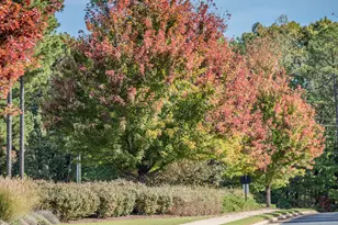 191 High Ridge Ln, Pittsboro, NC 27312 - Photo 17