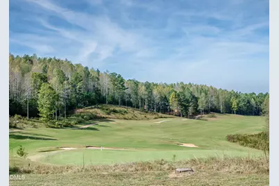 191 High Ridge Lane, Pittsboro, NC 27312 - Photo 21