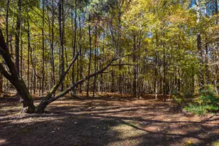 720 Timberlands Dr, Louisburg, NC 27549 - Photo 21