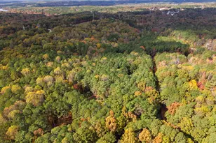 7125 Avborough Ct, Wake Forest, NC 27587 - Photo 37