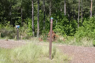 157 Wildwind Dr, Chapel Hill, NC 27516 - Photo 73