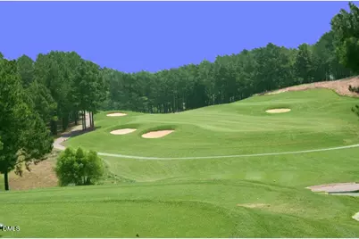 1317 Plunket Drive, Wake Forest, NC 27587 - Photo 59