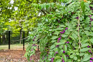 101 W Hatterleigh Ave, Hillsborough, NC 27278 - Photo 51