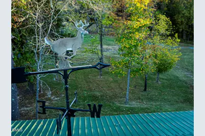 785 Glennie Irvin Road, Semora, NC 27343 - Photo 79