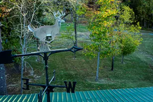 785 Glennie Irvin Rd, Semora, NC 27343 - Photo 79