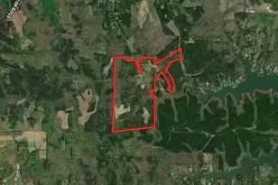 785 Glennie Irvin Rd, Semora, NC 27343 - Photo 95