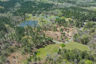 785 Glennie Irvin Rd, Semora, NC 27343 - Photo 41