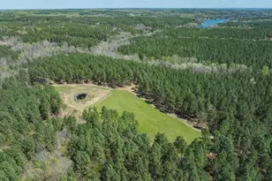 785 Glennie Irvin Rd, Semora, NC 27343 - Photo 89