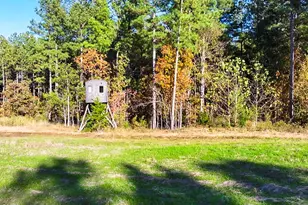 785 Glennie Irvin Rd, Semora, NC 27343 - Photo 91