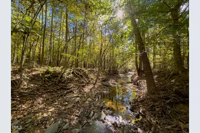 785 Glennie Irvin Road, Semora, NC 27343 - Photo 77