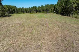 785 Glennie Irvin Rd, Semora, NC 27343 - Photo 93