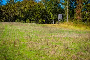 785 Glennie Irvin Rd, Semora, NC 27343 - Photo 85