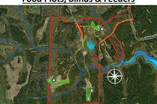 785 Glennie Irvin Rd, Semora, NC 27343 - Photo 81